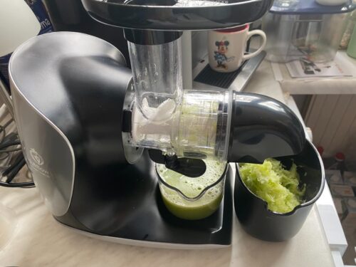 GREEN-PRESS KERAMIK Horizontaler Slow Juicer mit Keramik Pressschnecke BPA-frei | Sellerie, Selleriesaft, Weizengras, Kräuter Grüne Detox Säfte | Allround Entsafter elektrisch photo review